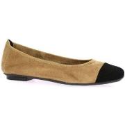 Ballerines Reqin's Ballerines cuir velours /