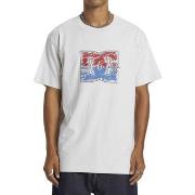 T-shirt DC Shoes DC Star Inline