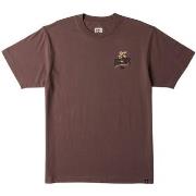 T-shirt DC Shoes Growing Pains