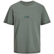 T-shirt Jack &amp; Jones 161478VTPE24