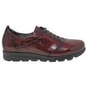 Derbies Fluchos CHAUSSURES F0354