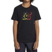 T-shirt DC Shoes Ball Point