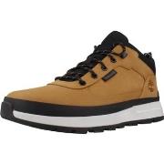 Bottes Timberland FIELD TREKKER LOW LACE