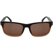 Lunettes de soleil Carrera 299S-R60