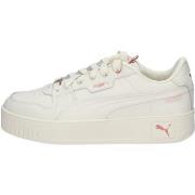 Baskets Puma 397487-03