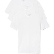 T-shirt Lacoste Lounge 3 Pack Plain Cotton T-Shirt White