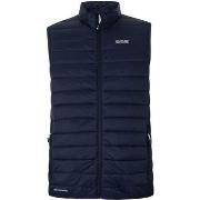 Veste Regatta Gilet Hillpack