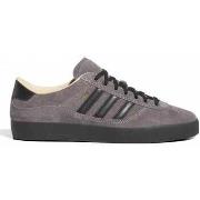 Chaussures de Skate adidas Puig indoor