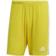 Pantalon adidas Squadra 21