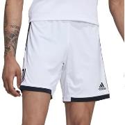 Short adidas H38904