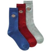 Chaussettes enfant Dickies DK0A4X82B82