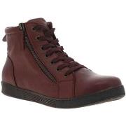 Boots Andrea Conti 23136CHAH24