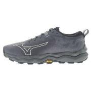 Chaussures Mizuno Wave Daichi GTX W