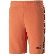 Short Puma 847387-94