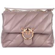 Sac Bandouliere Pinko 100037 A0F2