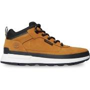 Baskets Timberland Field Trekker Low