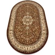 Tapis Rugsx Tapis ROYAL ADR ovale modèle 521 marron 200x290 cm