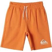 Short enfant Quiksilver Easy Day