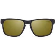 Lunettes de soleil The Indian Face Freeride