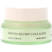 Anti-Age &amp; Anti-rides Mizon Phyto Plump Collagène Crème De Nuit