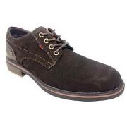 Chaussures Xti Chaussure homme 143218 marron