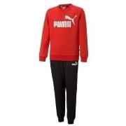 Ensembles de survêtement Puma 670884-21