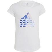 T-shirt enfant adidas Big Logo GT JR