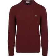 Sweat-shirt Lacoste Pull Bordeaux