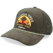 Casquette American Needle Chapeau Palmer -Joshua Tree National P Olive