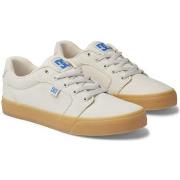 Chaussures de Skate DC Shoes Anvil