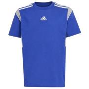 T-shirt enfant adidas TEE SHIRT B T CB - SELUBL - 13/14 ans