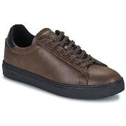 Baskets basses Clae BRADLEY