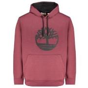 Sweat-shirt Timberland - Sweat capuche - bordeaux