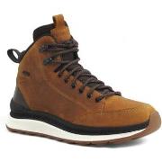 Chaussures Geox Polacco Spherica Sneaker Uomo Dark Coffe U46HMA0FFBCC2...