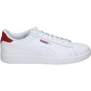 Chaussures Puma 390987-20