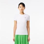 T-shirt Lacoste TF7218 T-Shirt/Polo femme