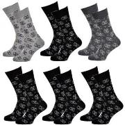 Chaussettes Christian Lacroix Pack de 6 Paires CXL Motifs