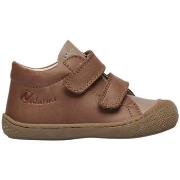 Chaussures Naturino Chaussures premiers pas en cuir COCOON VL