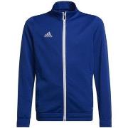 Sweat-shirt enfant adidas Entrada 22 Track