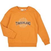 Sweat-shirt enfant Timberland SWEAT T60315