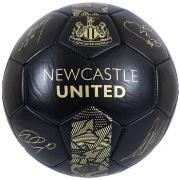 Accessoire sport Newcastle United Fc TA12388