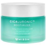 Hydratants &amp; nourrissants Mizon Crème Hydratante Cicaluronic