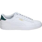 Chaussures Puma 390987-14