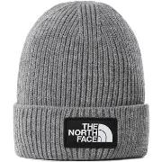 Bonnet The North Face NF0A3FJXDYY