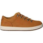 Ville basse enfant Timberland A2161 DAVIS