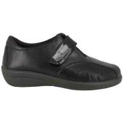 Derbies Doctor Cutillas 43514