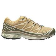 Chaussures Salomon Baskets XT-6 GTX Antelope/Icicle/Portabella