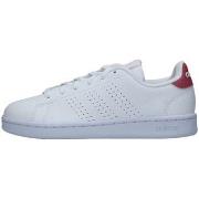 Baskets basses adidas HR0322