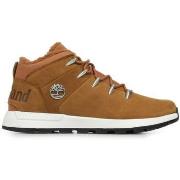 Baskets Timberland Sprint Trekker Mid Lace Sneaker