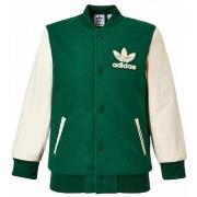 Blouson enfant adidas ij_vrct_jacket_verde